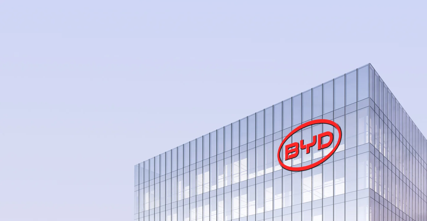 BYD ShymCityО бренде